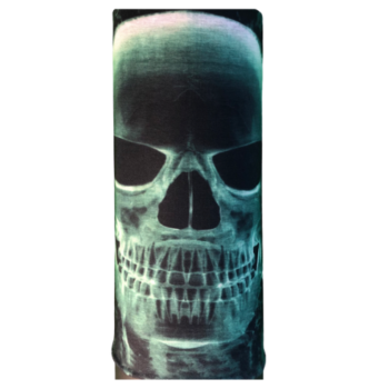 X-Ray Skull